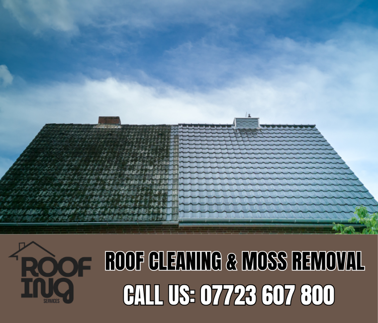 Roof Cleaning in Axminster